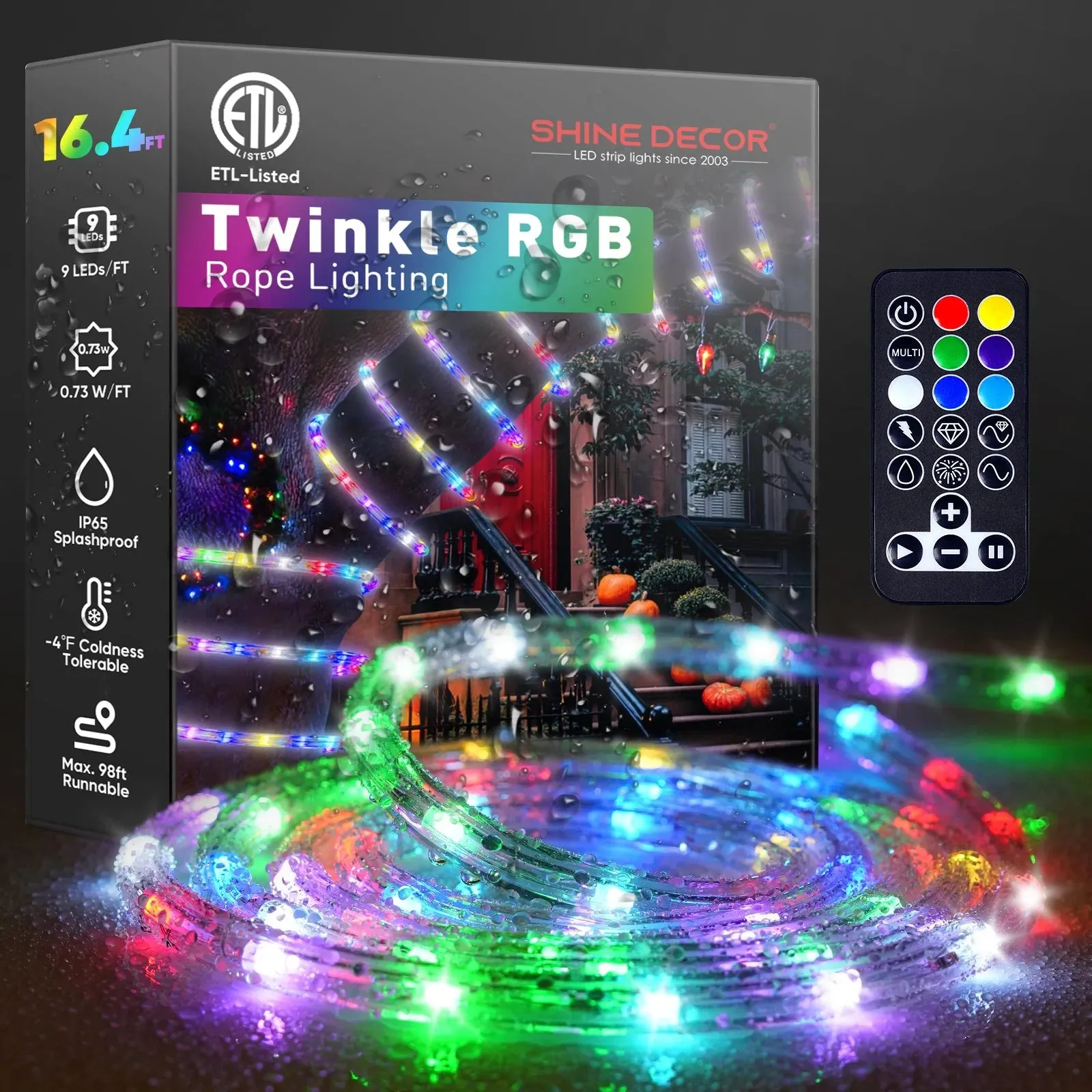 120V Twinkle RGB LED Rope Light Remote Control Dynamic Color Modes