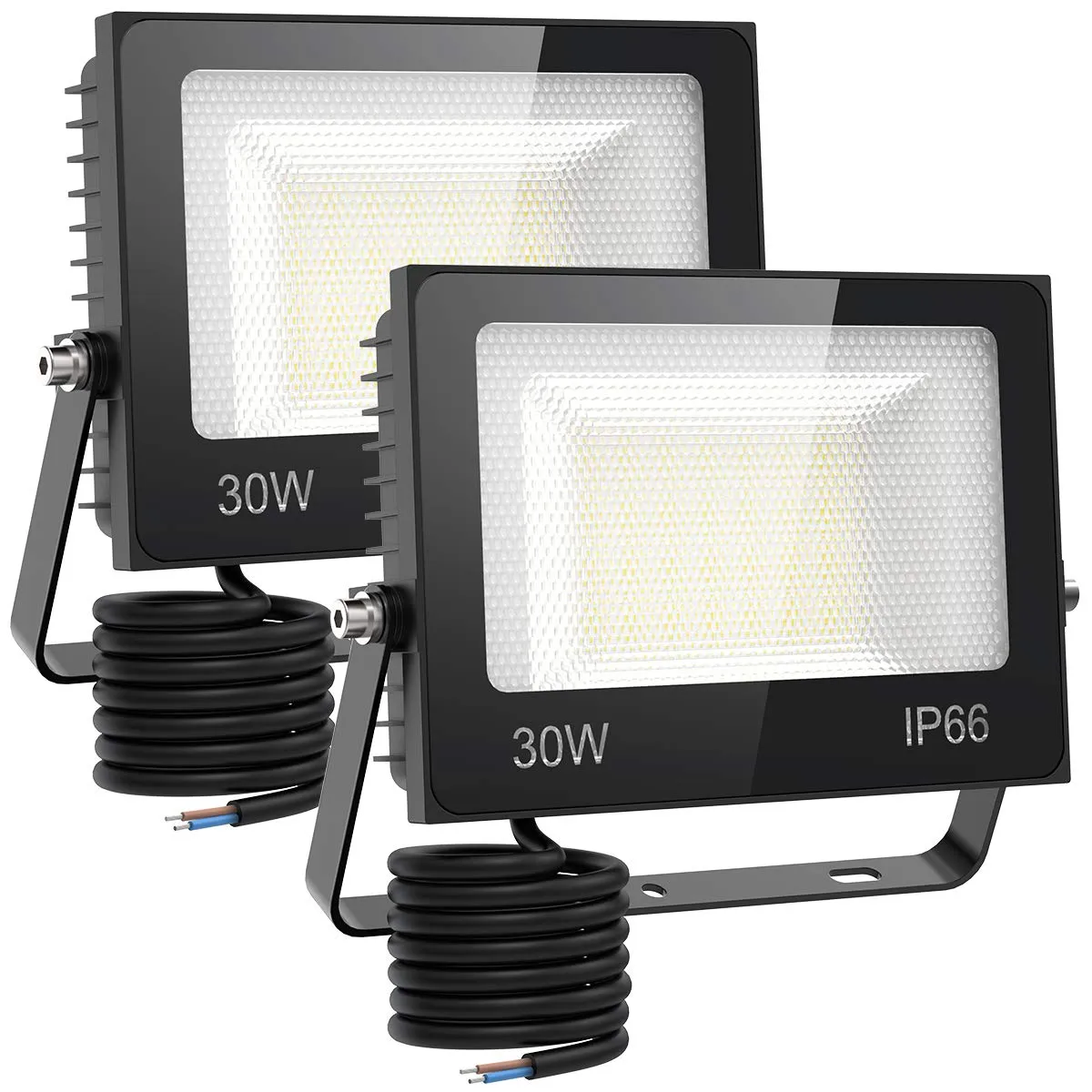 30W Led Floodlight 2 Pack