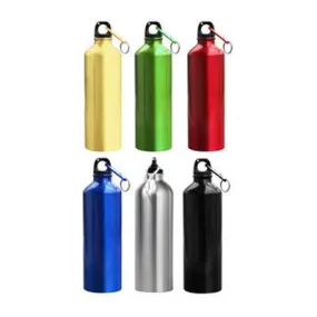 Aluminium Bottle with Carabiner (Metallic)