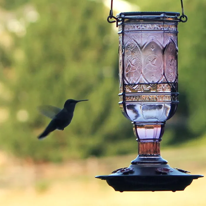 Amethyst Jewel Hummingbird Feeder