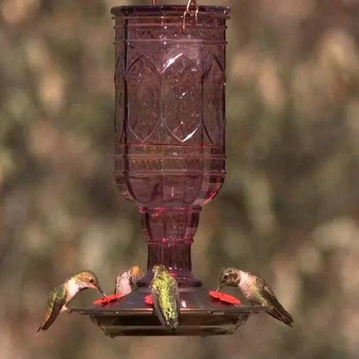 Amethyst Jewel Hummingbird Feeder