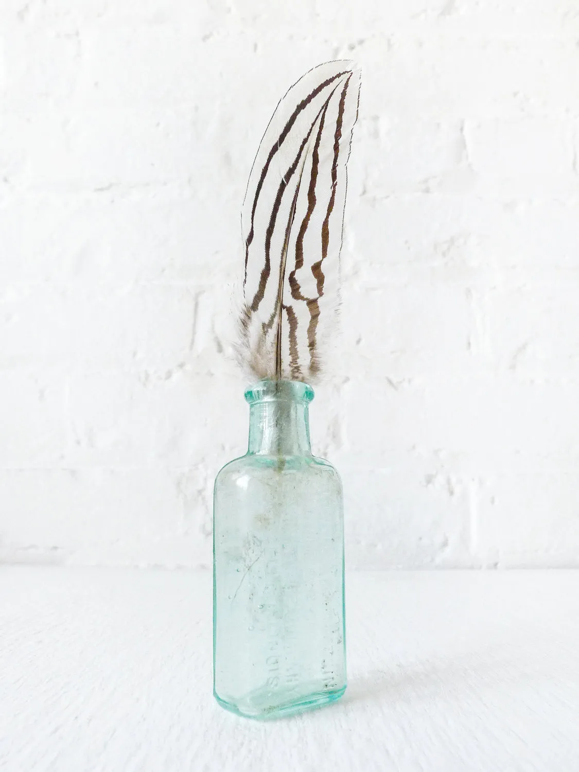 Antique Cadwell Medicine Bottle with Zebra Chicken Feather Specimen