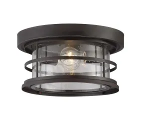 Barrett 13"  Outdoor Ceiling Light