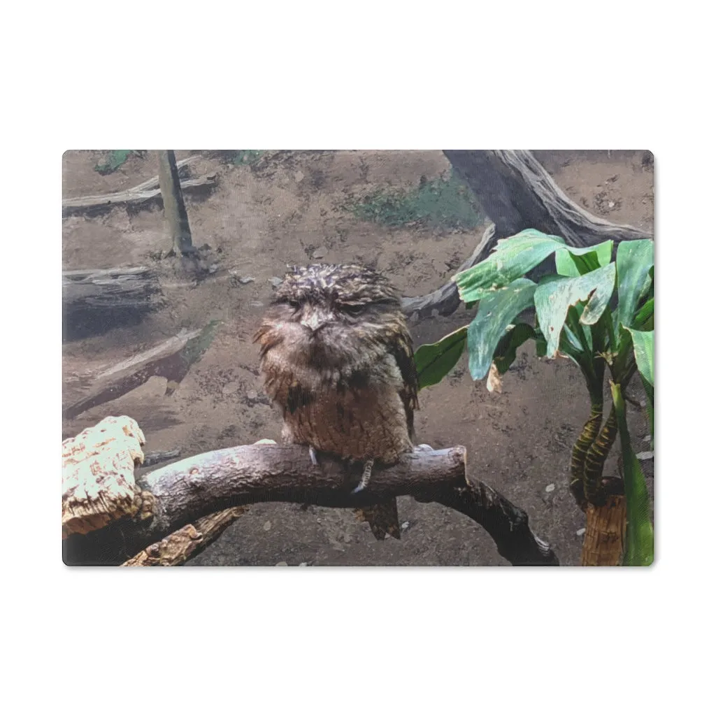 Bird Owl Cutting Board