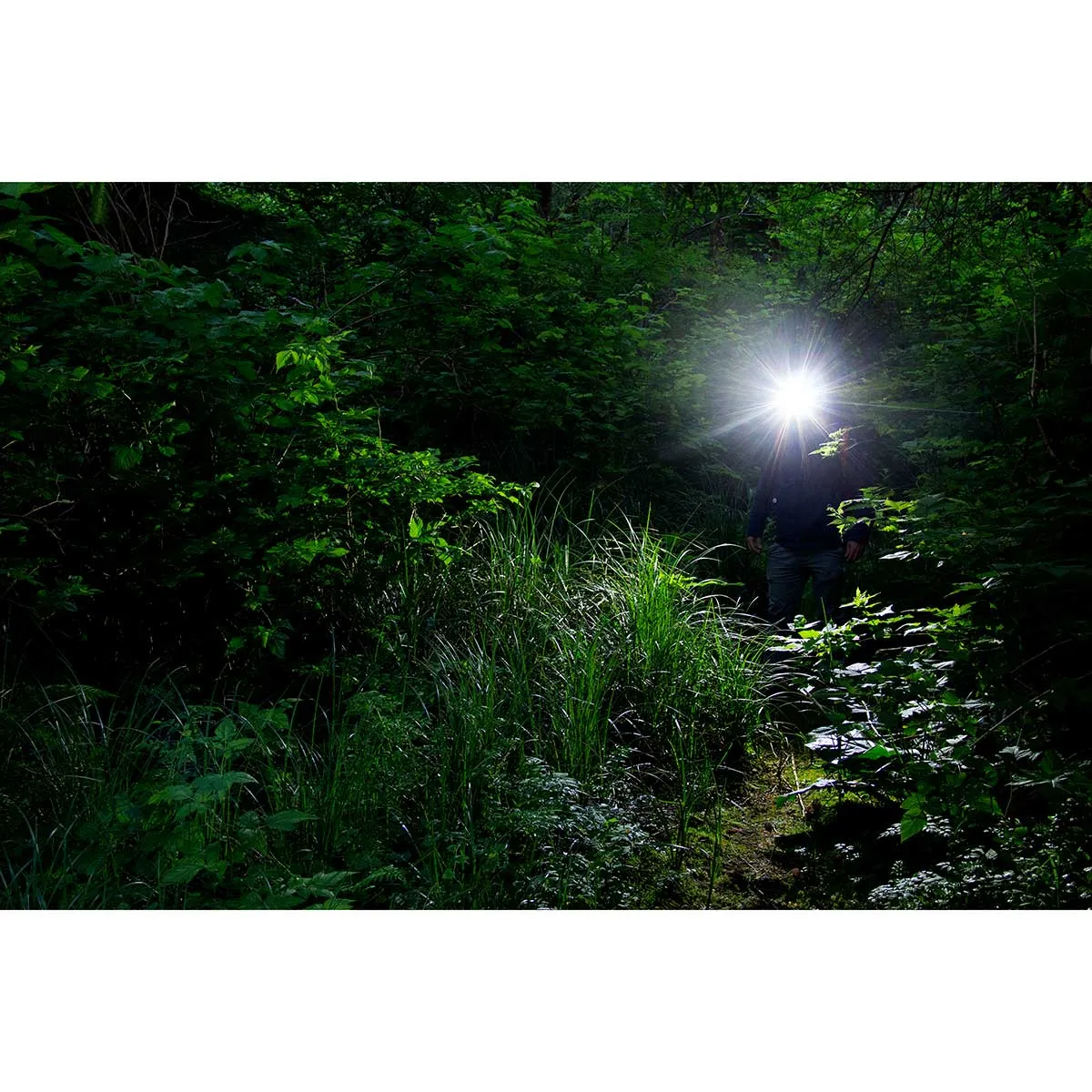 Coast LED Headlamp -FL13