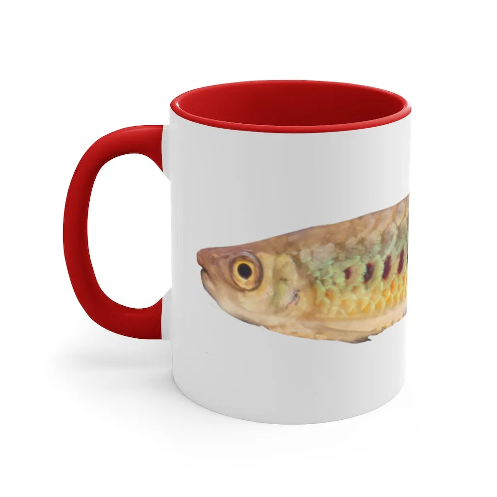 Colorful Fish Accent Coffee Mug, 11oz