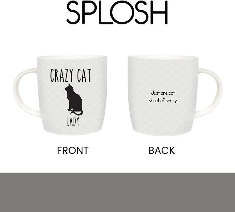 Crazy Cat Lady Mug with Cat House Gift Box