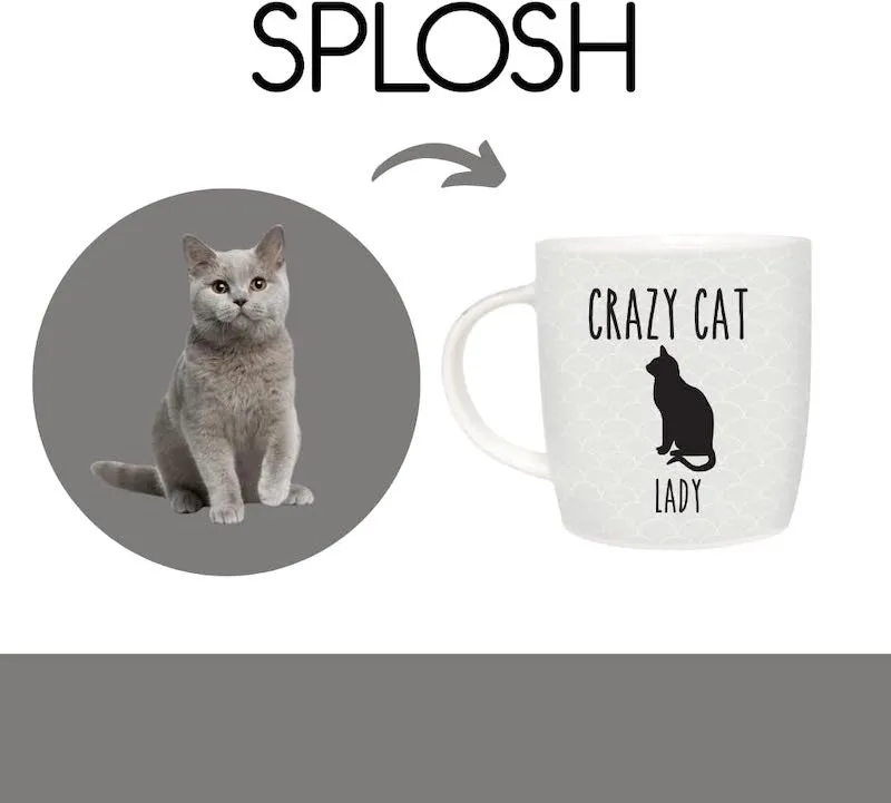 Crazy Cat Lady Mug with Cat House Gift Box