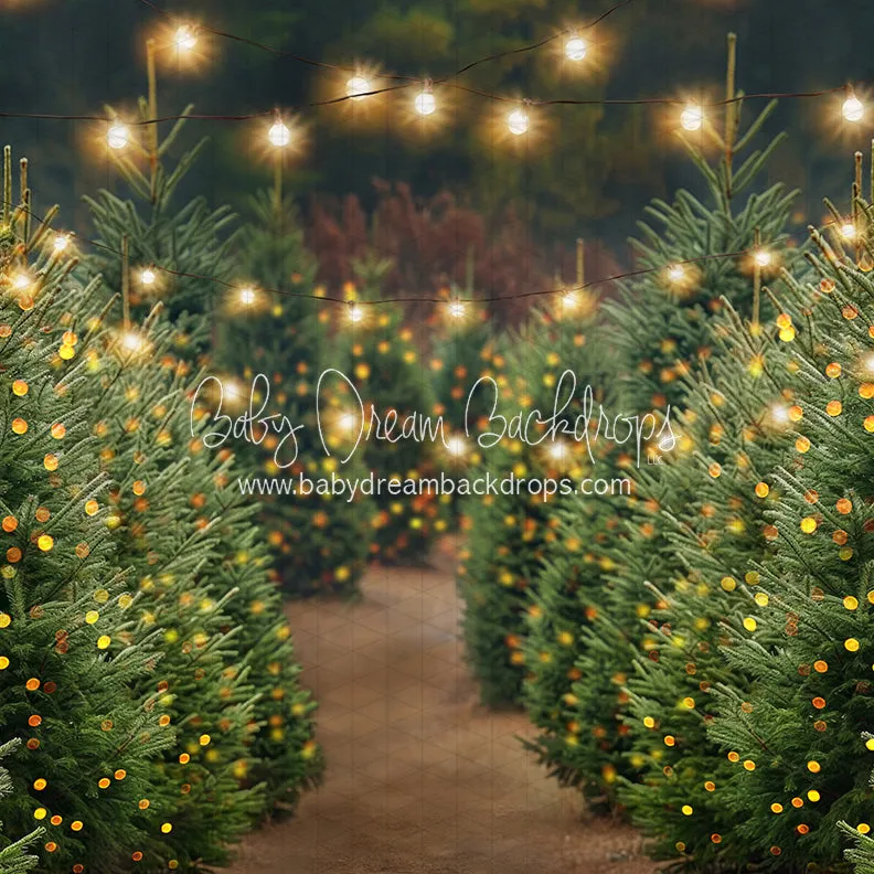 Holly Jolly Tree Farm   Lights (JA)