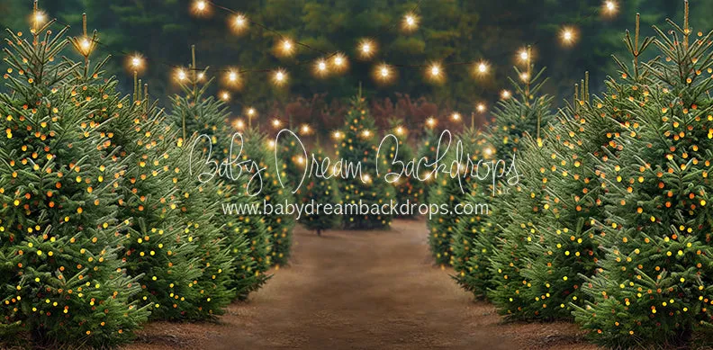 Holly Jolly Tree Farm   Lights (JA)