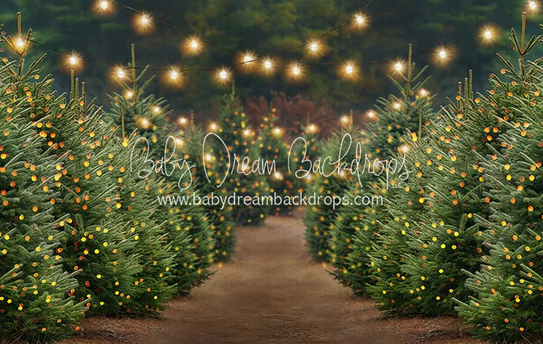 Holly Jolly Tree Farm   Lights (JA)