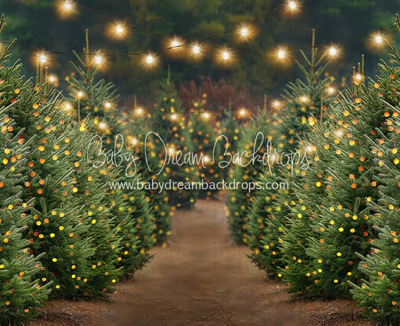 Holly Jolly Tree Farm   Lights (JA)