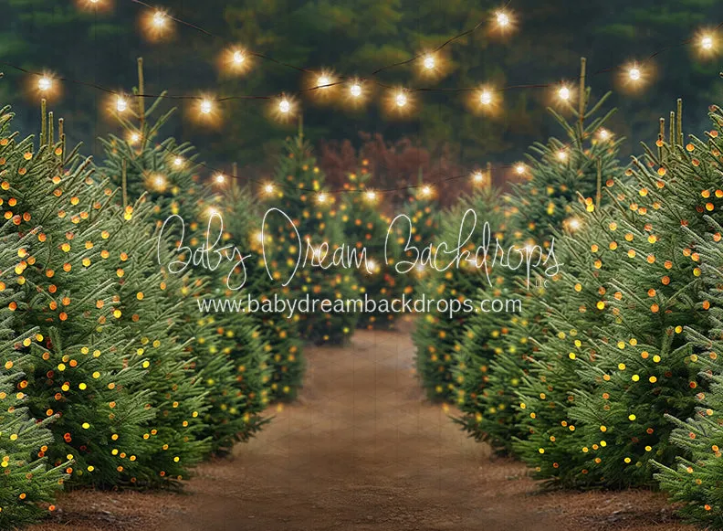 Holly Jolly Tree Farm   Lights (JA)