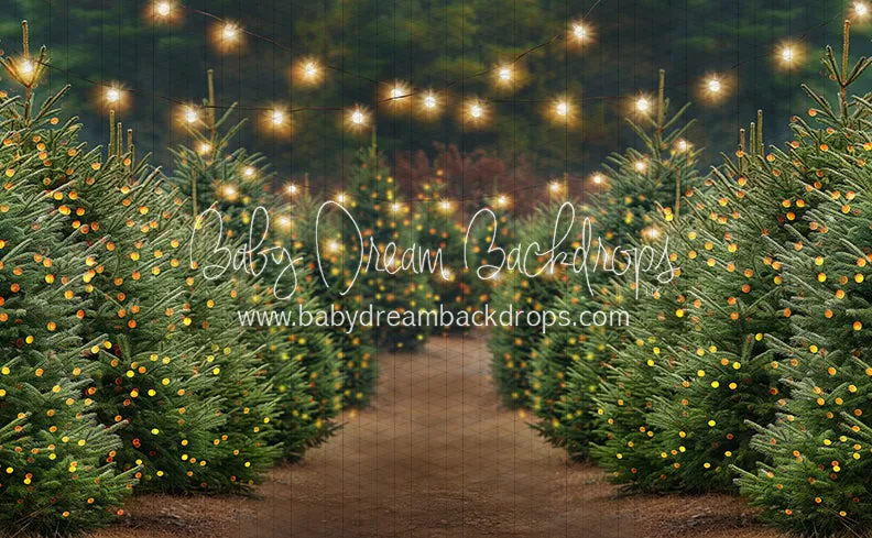 Holly Jolly Tree Farm   Lights (JA)