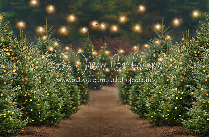 Holly Jolly Tree Farm   Lights (JA)