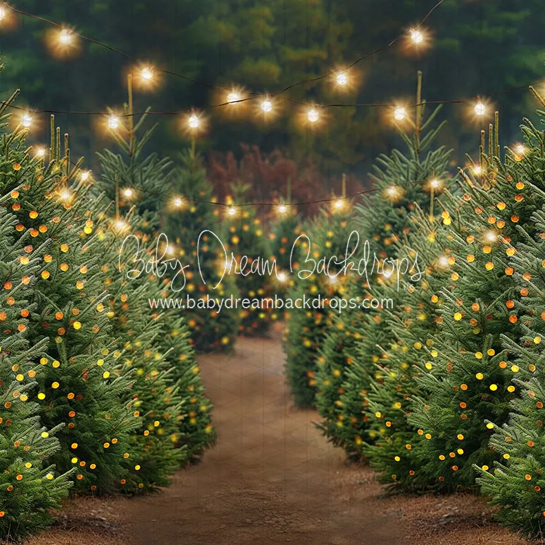 Holly Jolly Tree Farm   Lights (JA)