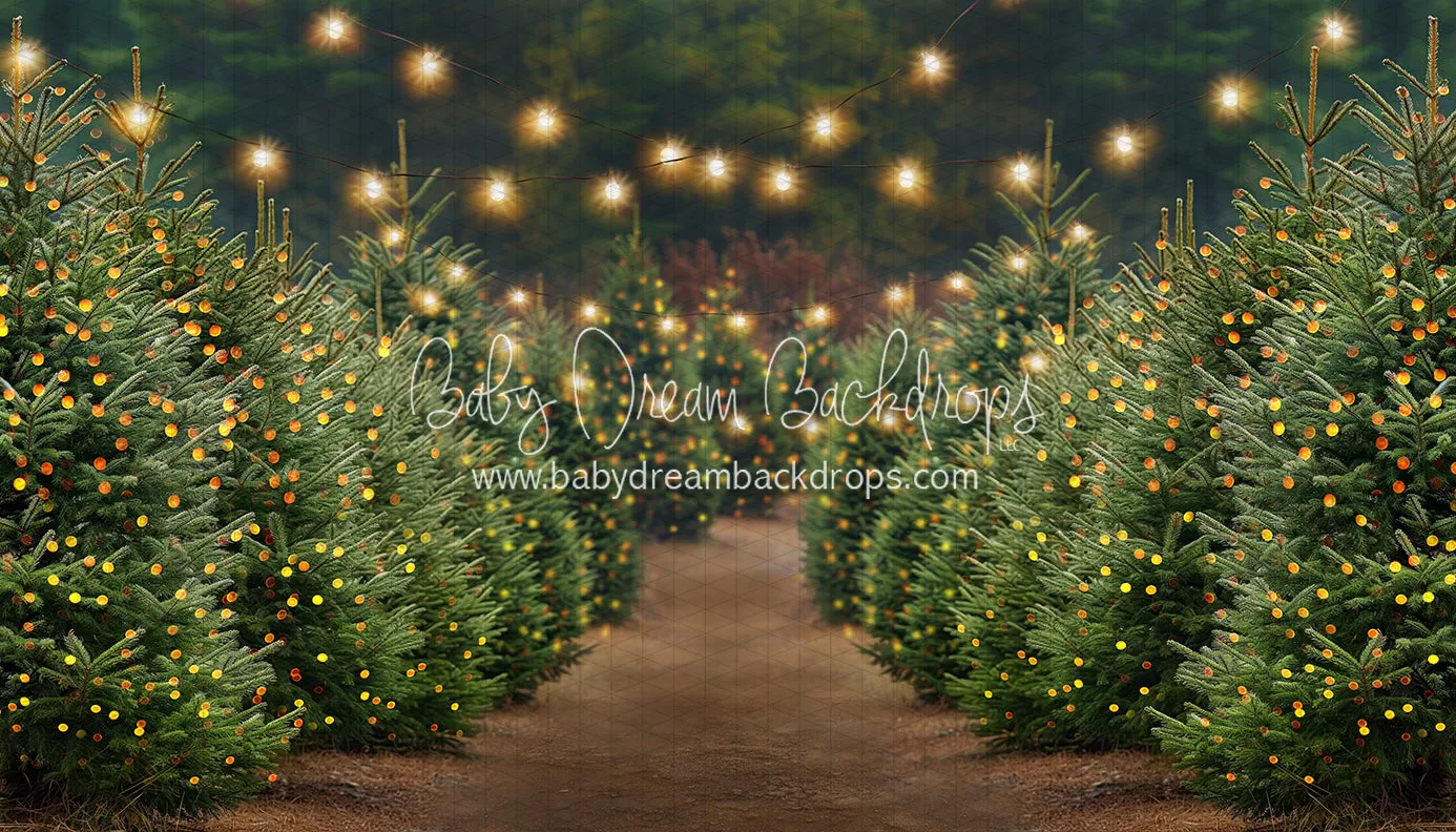 Holly Jolly Tree Farm   Lights (JA)