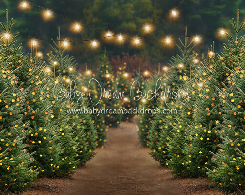 Holly Jolly Tree Farm   Lights (JA)