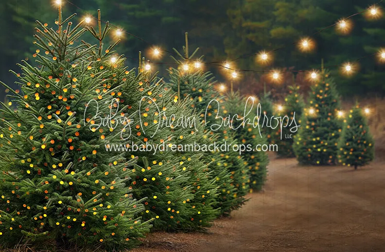 Holly Jolly Tree Farm Side Lights (JA)