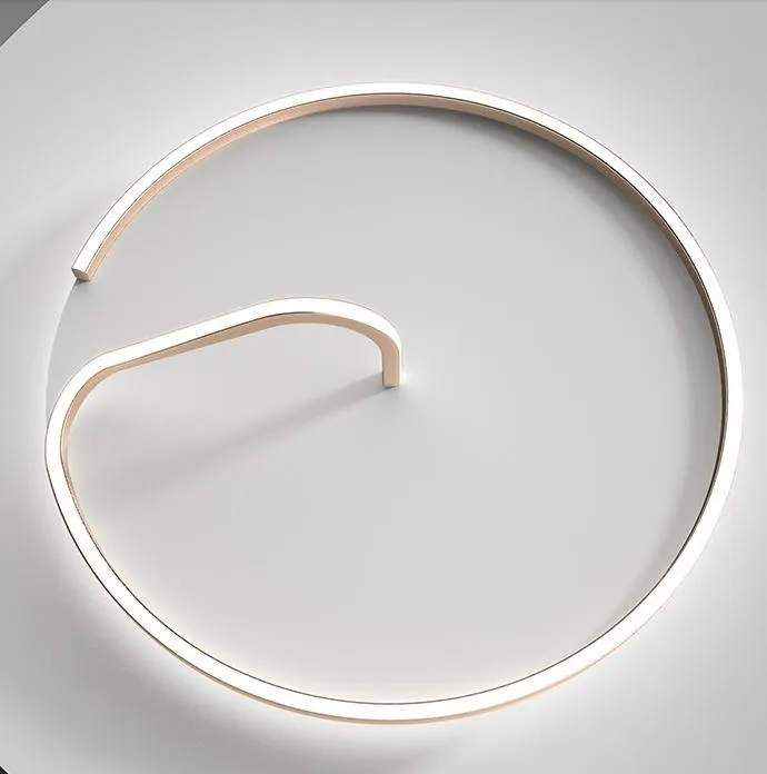 LED Modern Rope with Circle Ceiling Light