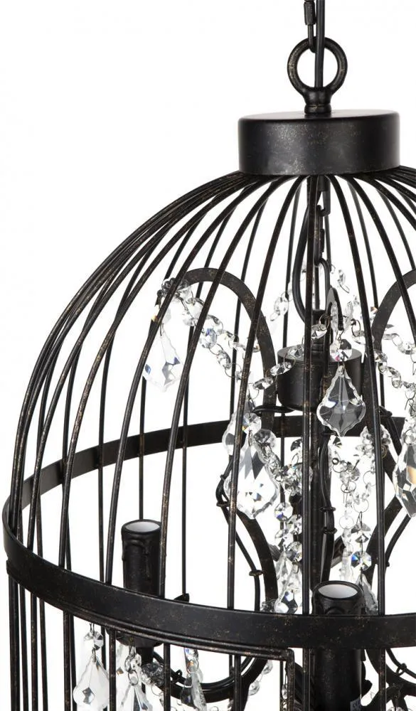 Macaw Chandelier - 8 Arm