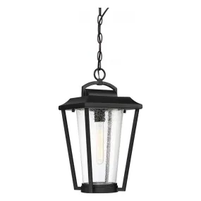 Nuvo 60-6514 Lakeview 1-lt 9" Outdoor Hanging Lantern