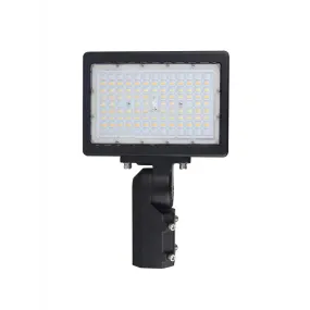 Nuvo 65-620 150W LED Flood Light, 5000K