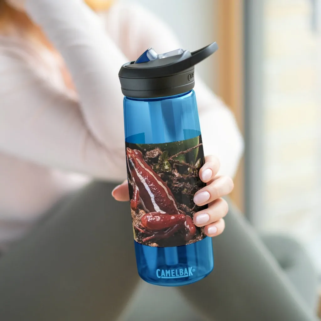 Red Frog CamelBak Eddy®  Water Bottle, 20oz\25oz