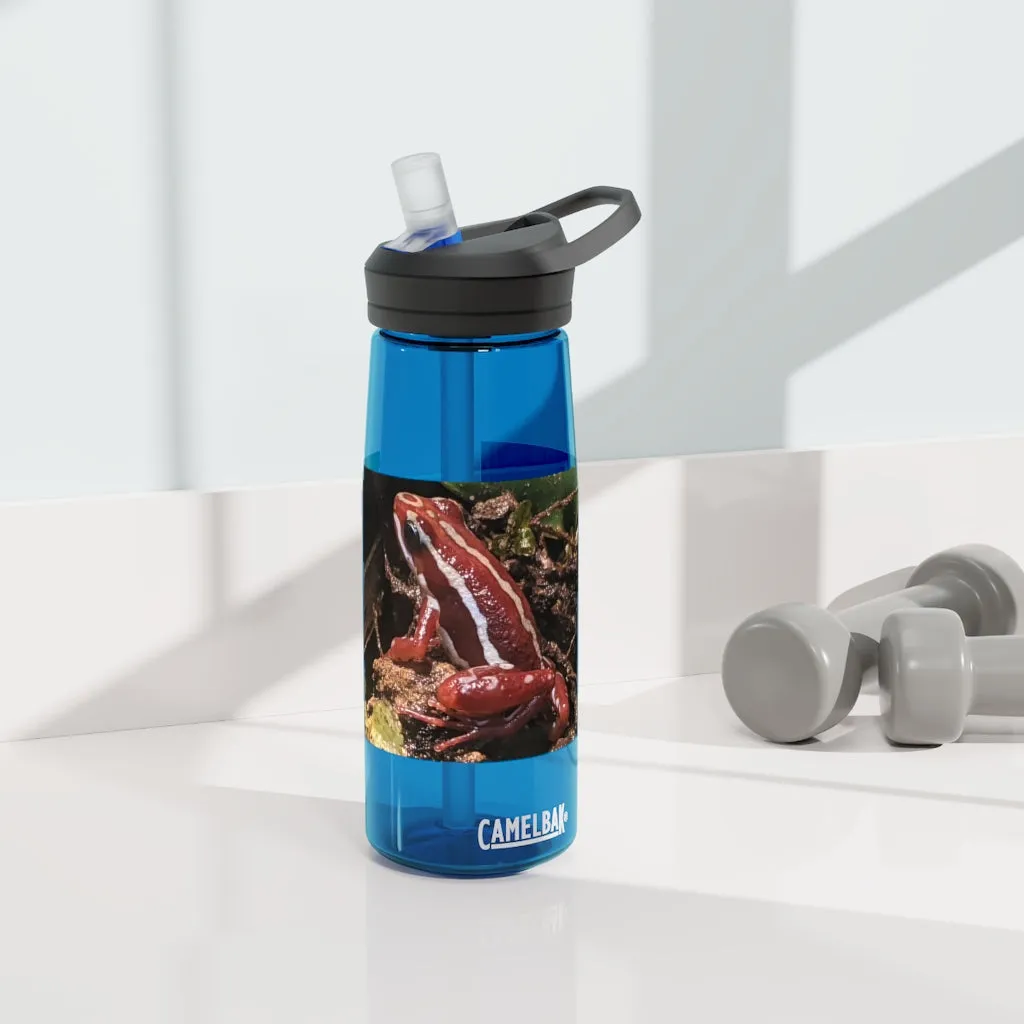 Red Frog CamelBak Eddy®  Water Bottle, 20oz\25oz