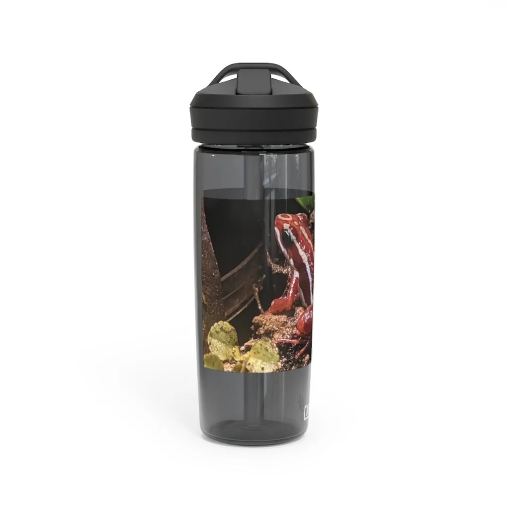 Red Frog CamelBak Eddy®  Water Bottle, 20oz\25oz