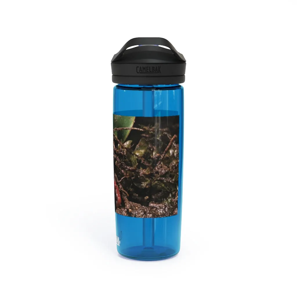 Red Frog CamelBak Eddy®  Water Bottle, 20oz\25oz