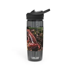 Red Frog CamelBak Eddy®  Water Bottle, 20oz\25oz