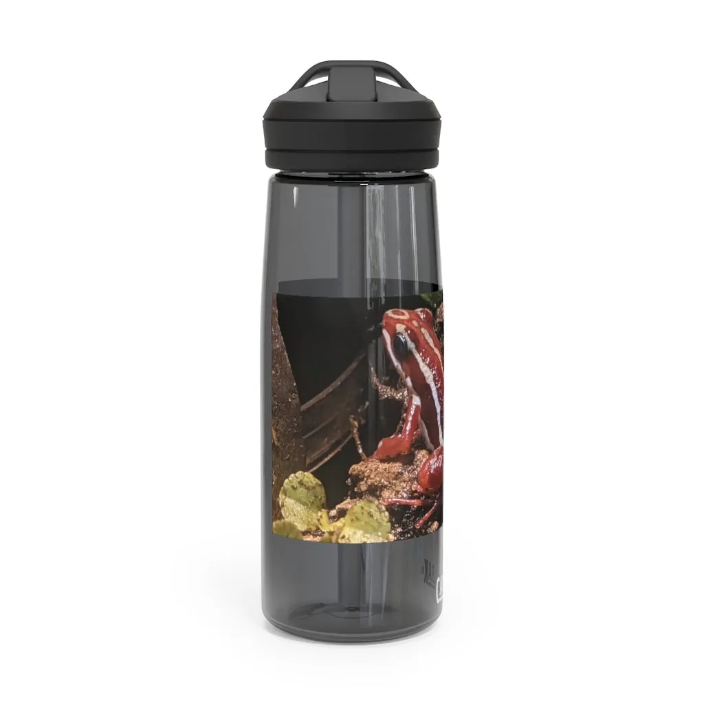 Red Frog CamelBak Eddy®  Water Bottle, 20oz\25oz