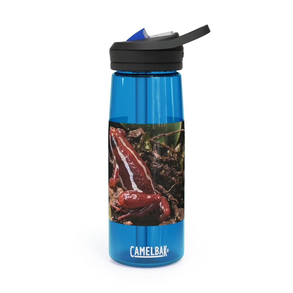 Red Frog CamelBak Eddy®  Water Bottle, 20oz\25oz