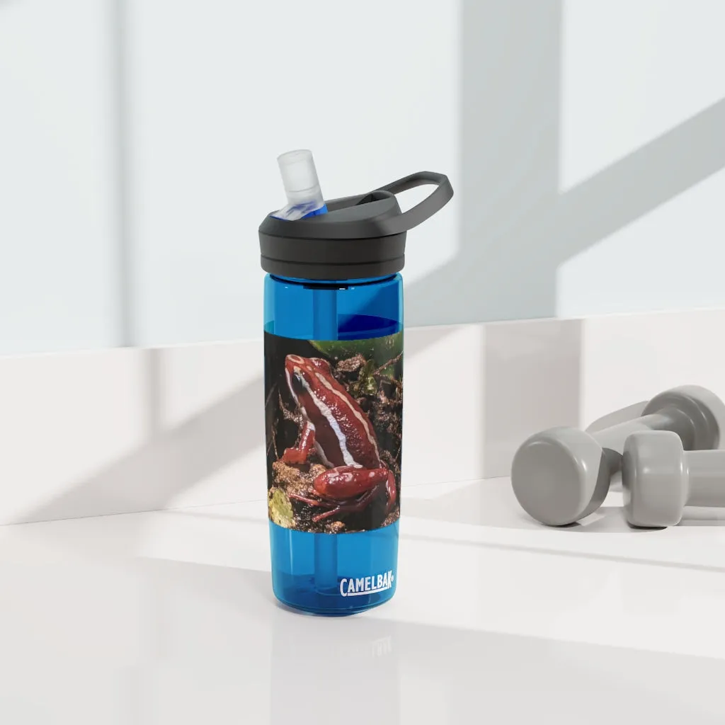 Red Frog CamelBak Eddy®  Water Bottle, 20oz\25oz