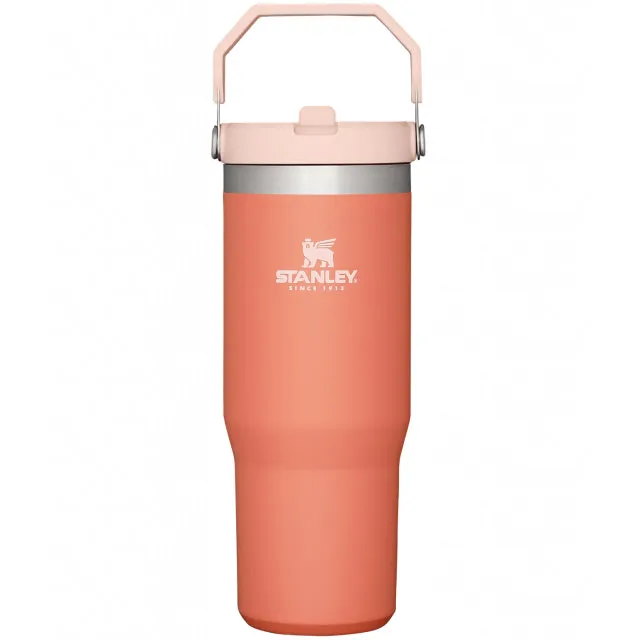 The Iceflow Flip Straw Tumbler 30 Oz