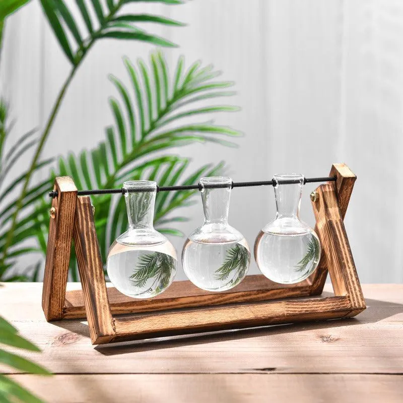 Unique Glass Planters